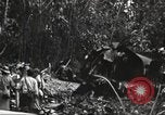 Image of burial of American fliers Burma, 1944, second 36 stock footage video 65675065506