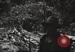 Image of burial of American fliers Burma, 1944, second 46 stock footage video 65675065506