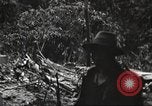 Image of burial of American fliers Burma, 1944, second 47 stock footage video 65675065506
