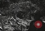 Image of burial of American fliers Burma, 1944, second 49 stock footage video 65675065506