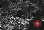 Image of burial of American fliers Burma, 1944, second 50 stock footage video 65675065506