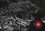 Image of burial of American fliers Burma, 1944, second 52 stock footage video 65675065506