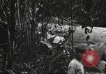Image of burial of American fliers Burma, 1944, second 55 stock footage video 65675065506