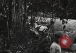 Image of burial of American fliers Burma, 1944, second 56 stock footage video 65675065506