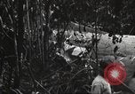 Image of burial of American fliers Burma, 1944, second 57 stock footage video 65675065506