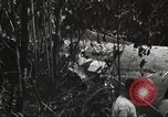 Image of burial of American fliers Burma, 1944, second 58 stock footage video 65675065506
