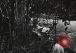 Image of burial of American fliers Burma, 1944, second 59 stock footage video 65675065506