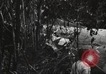 Image of burial of American fliers Burma, 1944, second 60 stock footage video 65675065506