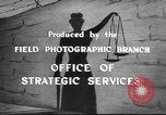 Image of Nazi atrocity victims European Theater, 1945, second 41 stock footage video 65675065507