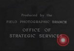 Image of Nazi atrocity victims European Theater, 1945, second 44 stock footage video 65675065507