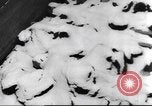 Image of German concentration camp Germany, 1945, second 55 stock footage video 65675065508