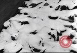 Image of German concentration camp Germany, 1945, second 56 stock footage video 65675065508