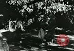 Image of Office of Strategic Services Burma, 1944, second 1 stock footage video 65675065518