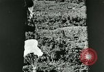 Image of Office of Strategic Services Burma, 1944, second 18 stock footage video 65675065519