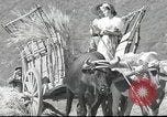 Standbild Chile einheimischen Chile, 1947, aus Sekunde 12 historischem Filmmaterial Videoclip 65675065530
