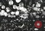 Image of carnival dancing Rio de Janeiro Brazil, 1947, second 3 stock footage video 65675065532