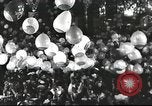 Image of carnival dancing Rio de Janeiro Brazil, 1947, second 4 stock footage video 65675065532