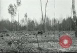 Image of Polish troops European Theater, 1916, second 34 stock footage video 65675065534
