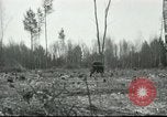 Image of Polish troops European Theater, 1916, second 35 stock footage video 65675065534