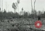 Image of Polish troops European Theater, 1916, second 37 stock footage video 65675065534