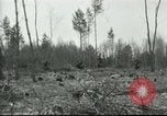 Image of Polish troops European Theater, 1916, second 38 stock footage video 65675065534