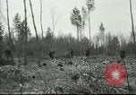 Image of Polish troops European Theater, 1916, second 39 stock footage video 65675065534