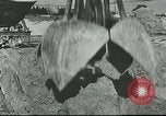 Image of cleaning operations European Theater, 1916, second 10 stock footage video 65675065538
