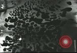 Image of French civilians Paris France, 1916, second 21 stock footage video 65675065542
