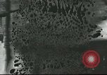 Image of French civilians Paris France, 1916, second 23 stock footage video 65675065542