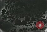 Image of French civilians Paris France, 1916, second 24 stock footage video 65675065542