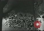 Image of French civilians Paris France, 1916, second 25 stock footage video 65675065542