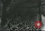 Image of French civilians Paris France, 1916, second 29 stock footage video 65675065542