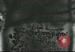 Image of French civilians Paris France, 1916, second 30 stock footage video 65675065542