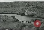 Image of Moroccan troops Africa, 1916, second 58 stock footage video 65675065543