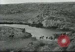 Image of Moroccan troops Africa, 1916, second 59 stock footage video 65675065543