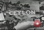 Standbild Besuch in Großbritannien London England, 1954, aus Sekunde 51 historischem Filmmaterial Videoclip 65675065560
