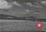 Standbild Geschichte der British Maritime Handel und Gewerbe Vereinigtes Königreich, 1954, aus Sekunde 31 historischem Filmmaterial Videoclip 65675065561