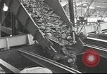 Image of Postwar Britain United Kingdom, 1949, second 58 stock footage video 65675065563