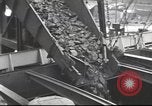 Image of Postwar Britain United Kingdom, 1949, second 59 stock footage video 65675065563