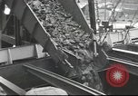 Image of Postwar Britain United Kingdom, 1949, second 60 stock footage video 65675065563