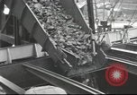 Image of Postwar Britain United Kingdom, 1949, second 61 stock footage video 65675065563