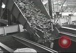 Image of Postwar Britain United Kingdom, 1949, second 62 stock footage video 65675065563