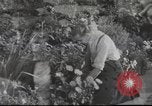 Image of British people United Kingdom, 1953, second 1 stock footage video 65675065565
