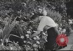 Image of British people United Kingdom, 1953, second 3 stock footage video 65675065565