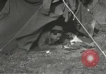 Image of Japanese-American soldiers in World War II France, 1944, second 37 stock footage video 65675065575