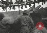 Immagine di Soldati Japanese-American Francia, 1944, secondo 36 filmato di repertorio 65675065579