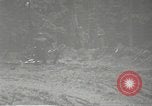 Image of Japanese-American 442nd Regimental Combat Team France, 1944, second 7 stock footage video 65675065580