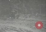 Image of Japanese-American 442nd Regimental Combat Team France, 1944, second 8 stock footage video 65675065580