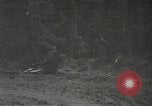 Image of Japanese-American 442nd Regimental Combat Team France, 1944, second 10 stock footage video 65675065580