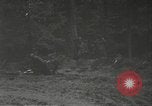 Image of Japanese-American 442nd Regimental Combat Team France, 1944, second 11 stock footage video 65675065580